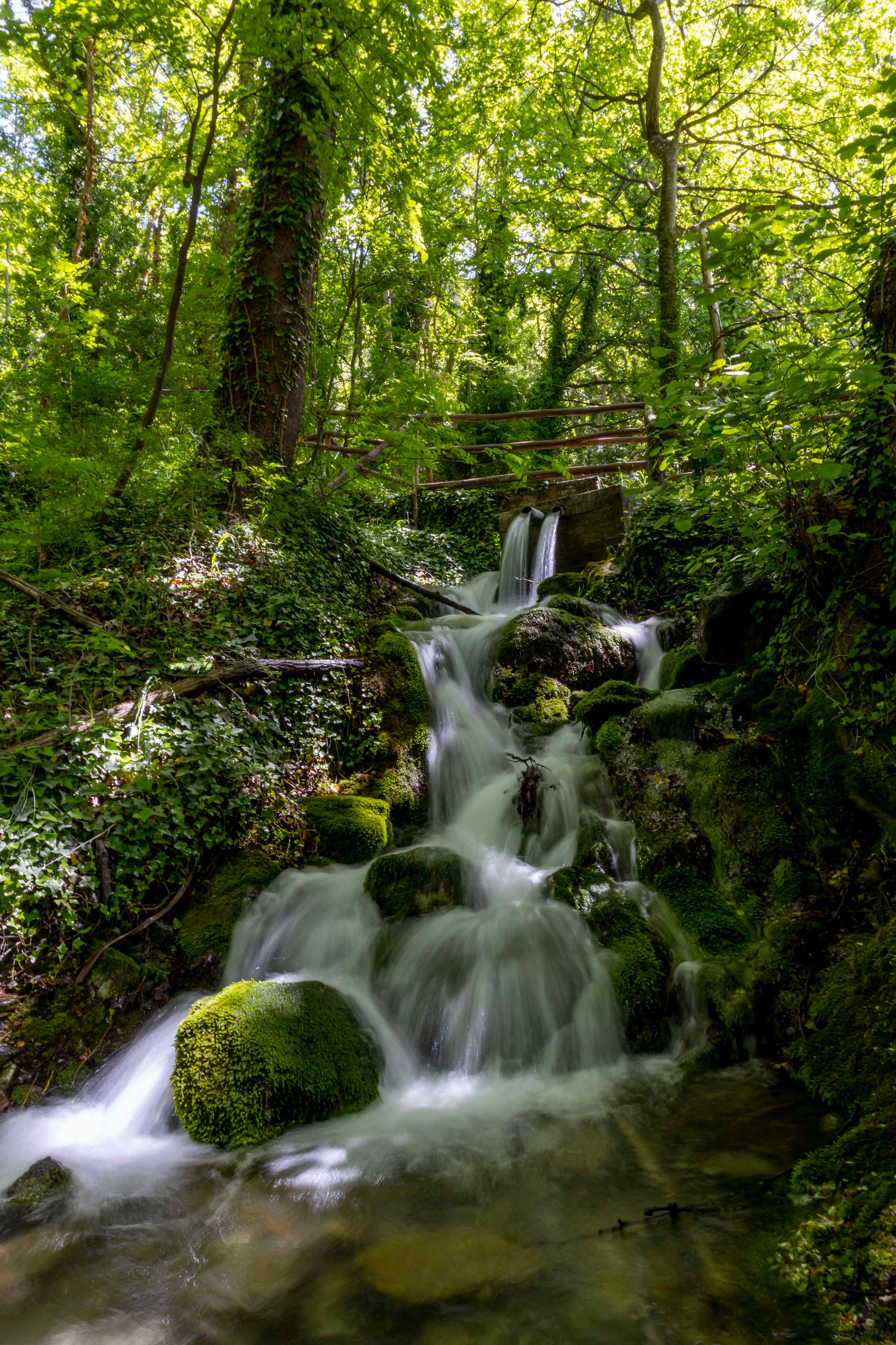 Baignade dans les thermes de Pozar photo